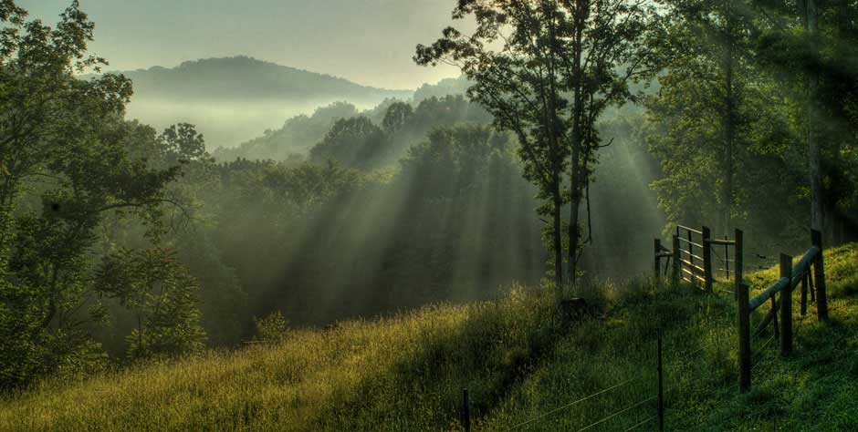 About The Setting